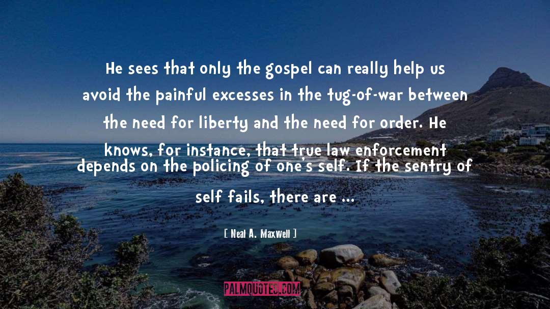 Excesses quotes by Neal A. Maxwell