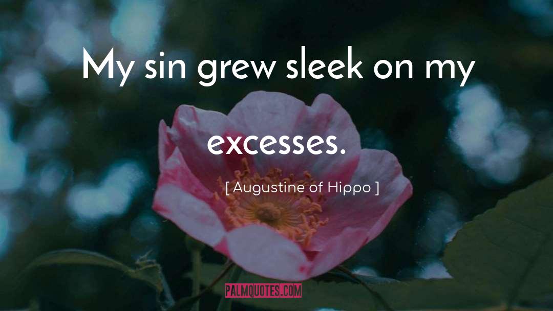 Excesses quotes by Augustine Of Hippo