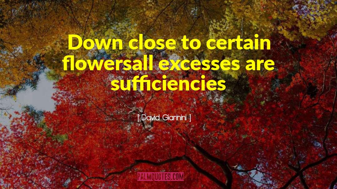 Excesses quotes by David Giannini