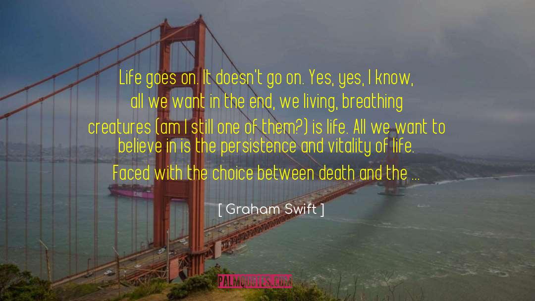Excitement In Life quotes by Graham Swift