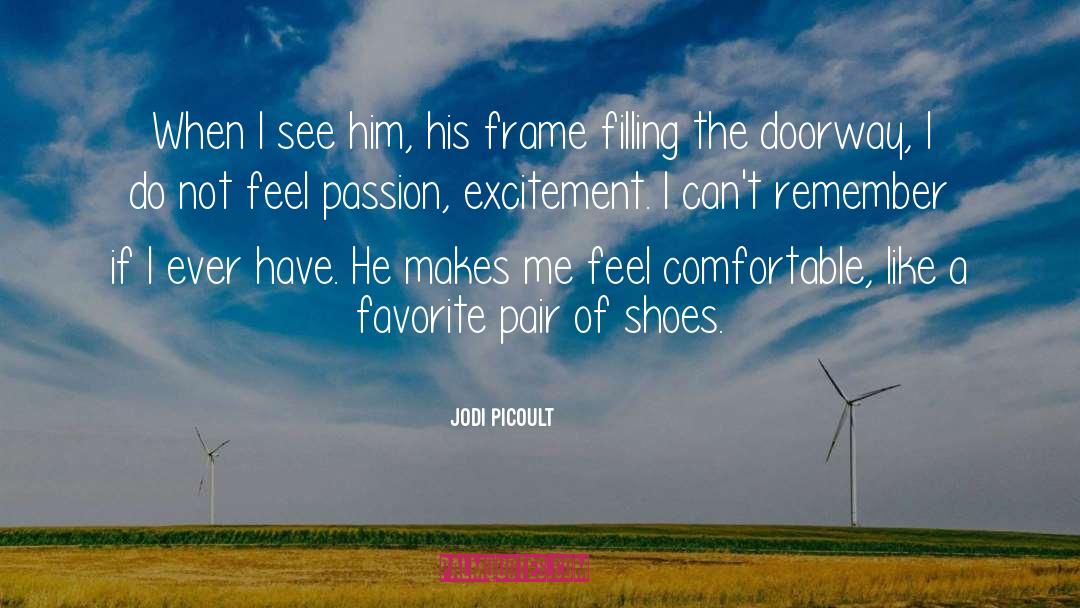Excitement In Relationship quotes by Jodi Picoult