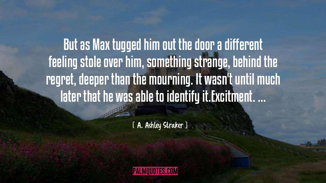 Excitment quotes by A. Ashley Straker