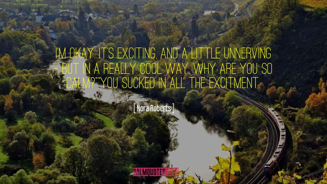 Excitment quotes by Nora Roberts