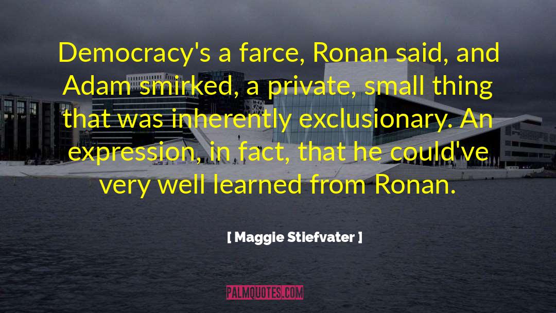Exclusionary quotes by Maggie Stiefvater