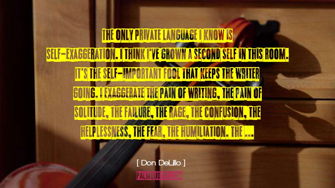 Excruciating Pain quotes by Don DeLillo