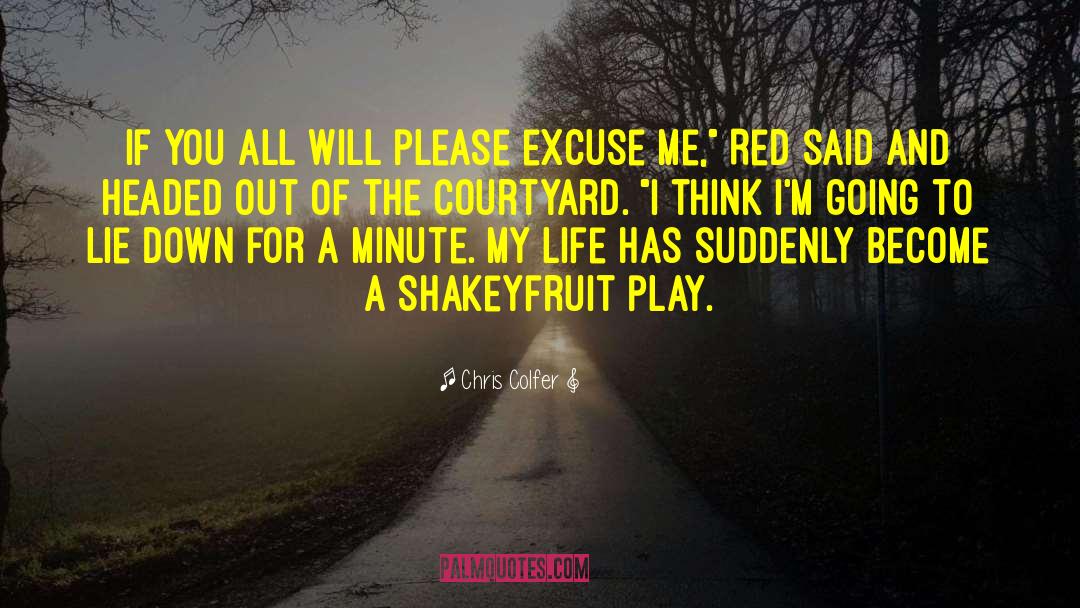 Excuse Me quotes by Chris Colfer