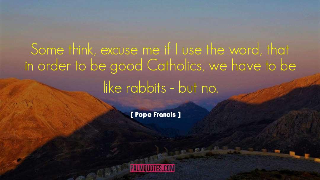 Excuse Me quotes by Pope Francis