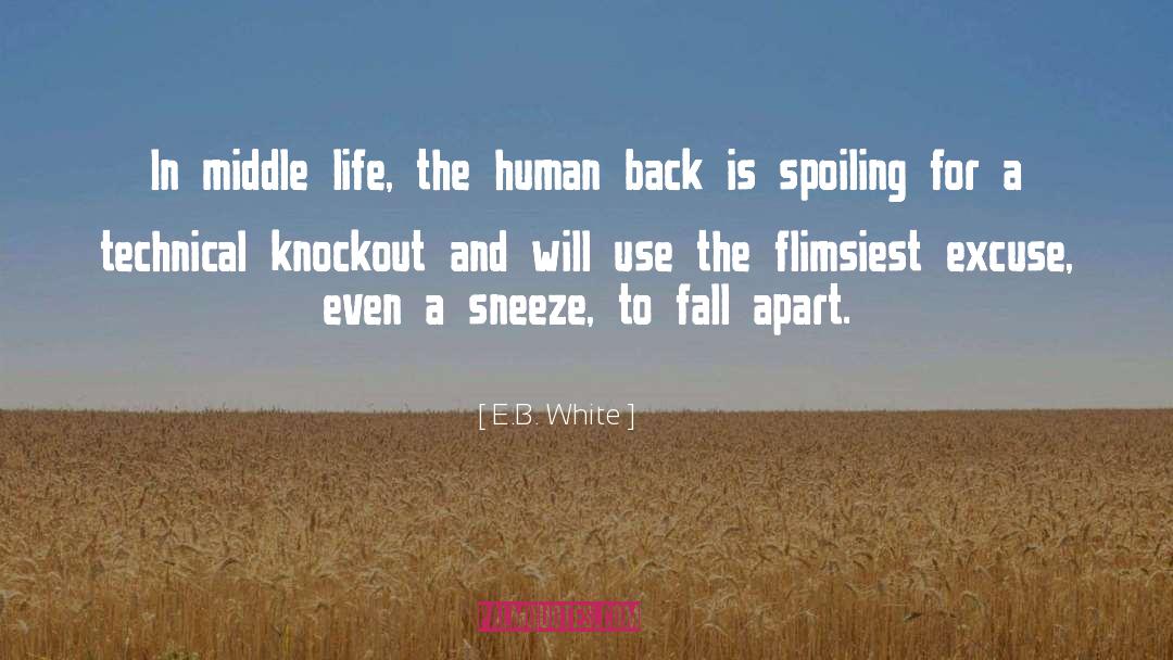 Excuse quotes by E.B. White