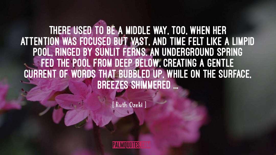 Executiion Underground quotes by Ruth Ozeki