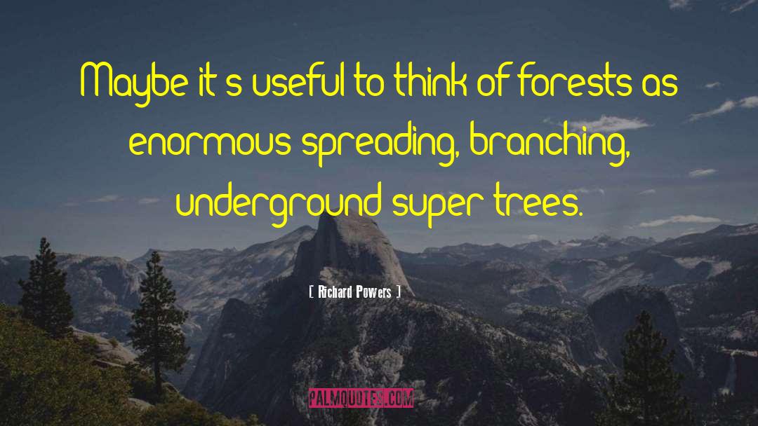 Executiion Underground quotes by Richard Powers