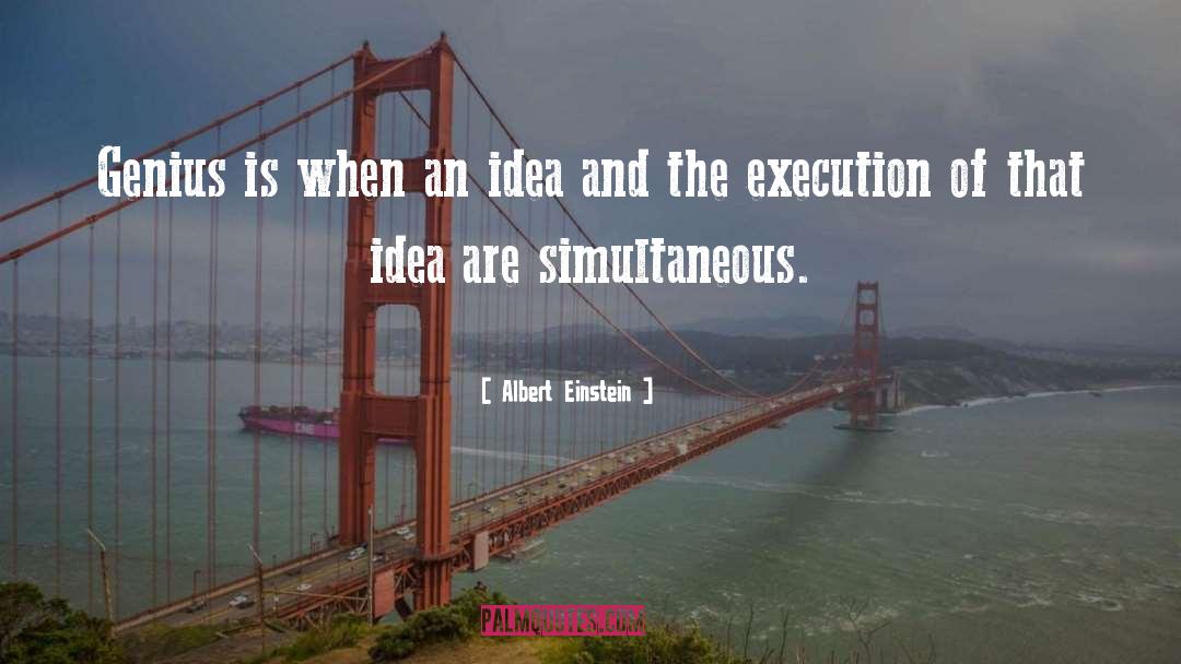 Execution quotes by Albert Einstein