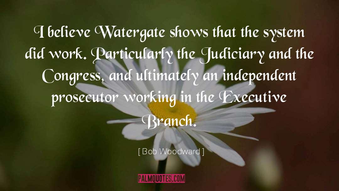 Executive Branch quotes by Bob Woodward