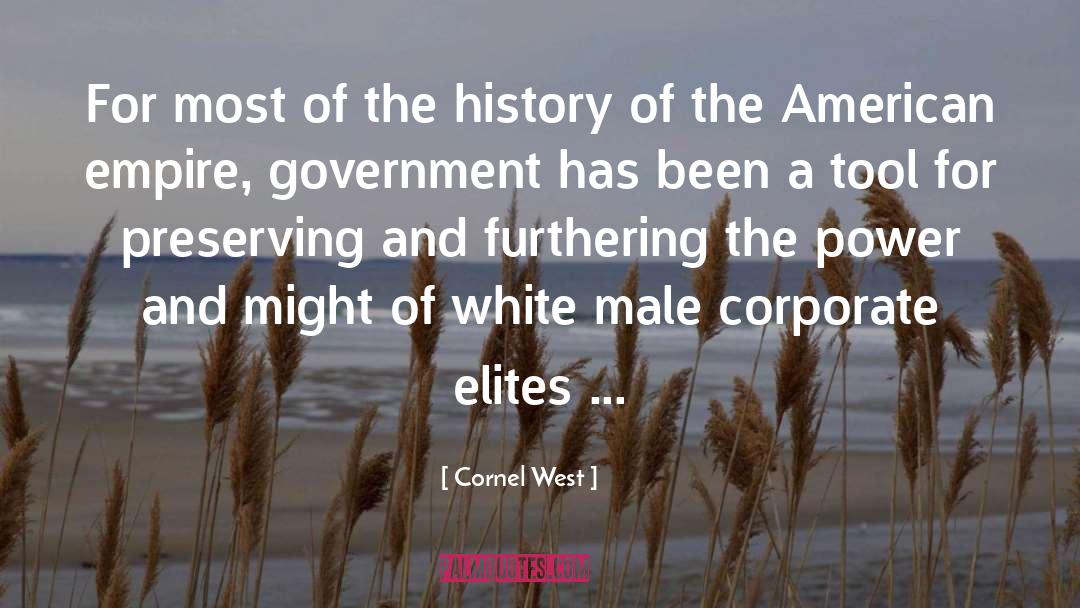 Executive Government quotes by Cornel West