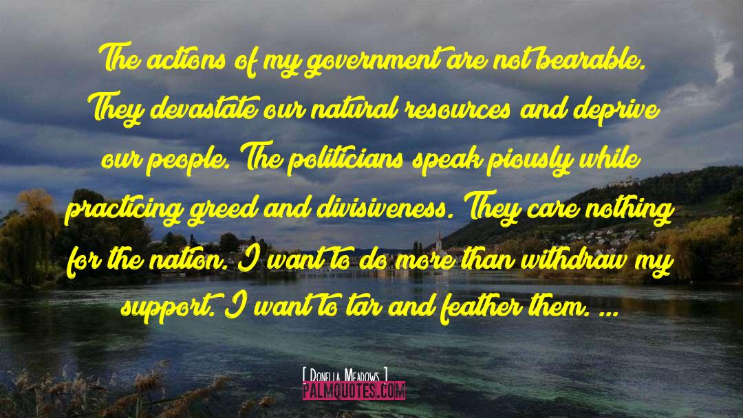 Executive Government quotes by Donella Meadows