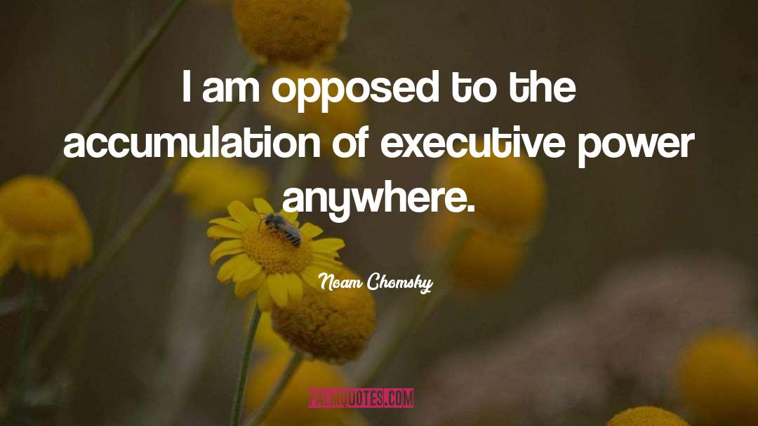Executive Power quotes by Noam Chomsky