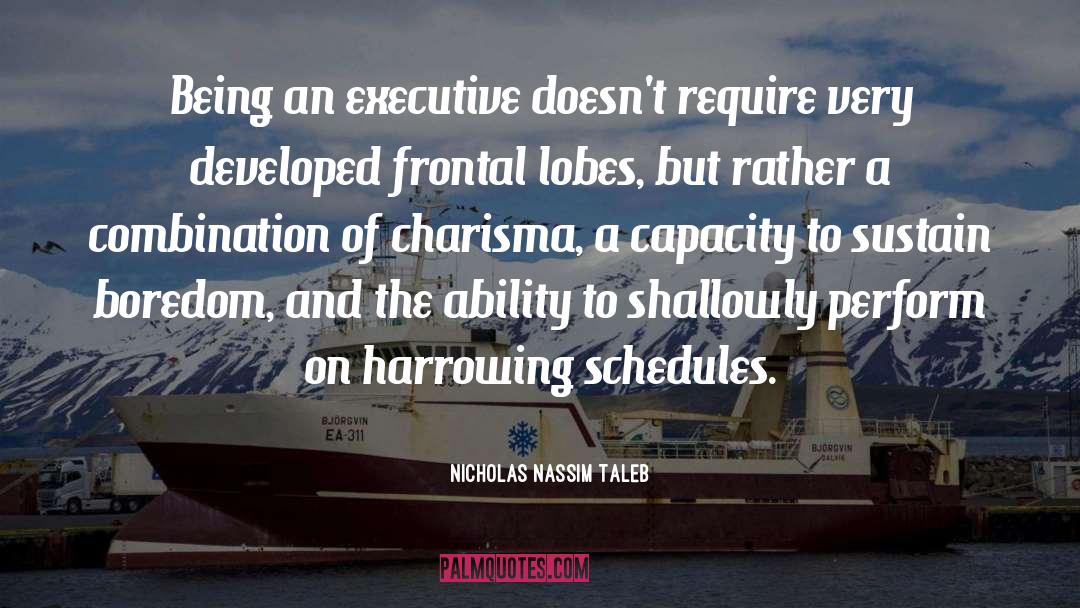 Executive Powers quotes by Nicholas Nassim Taleb