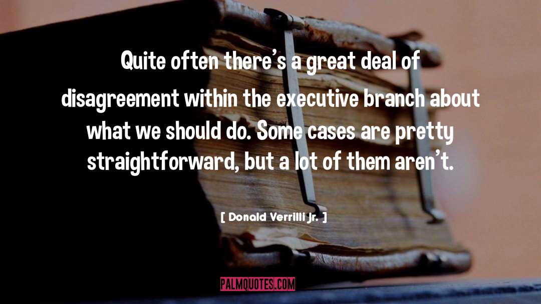 Executive Powers quotes by Donald Verrilli Jr.