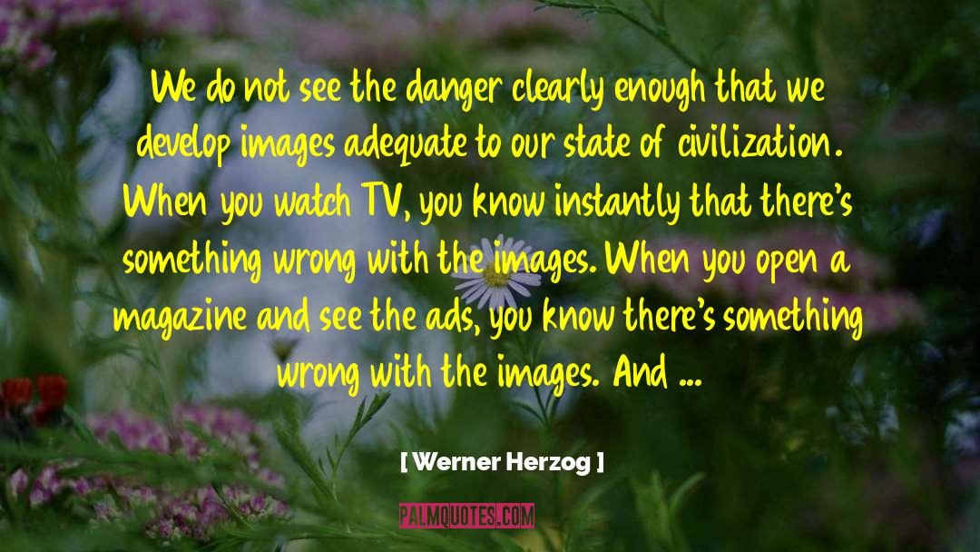 Executive Tv Reporter Realness quotes by Werner Herzog