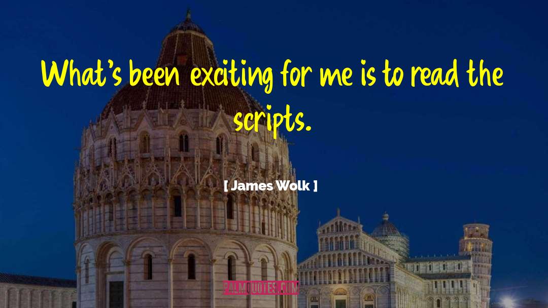 Executors For Scripts quotes by James Wolk
