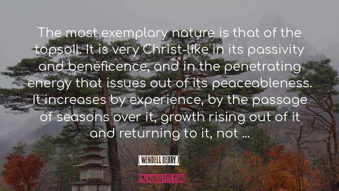Exemplarily Vs Exemplary quotes by Wendell Berry