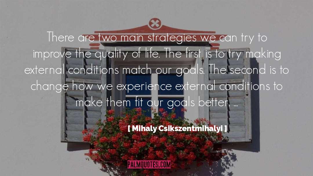 Exemplary Life quotes by Mihaly Csikszentmihalyi