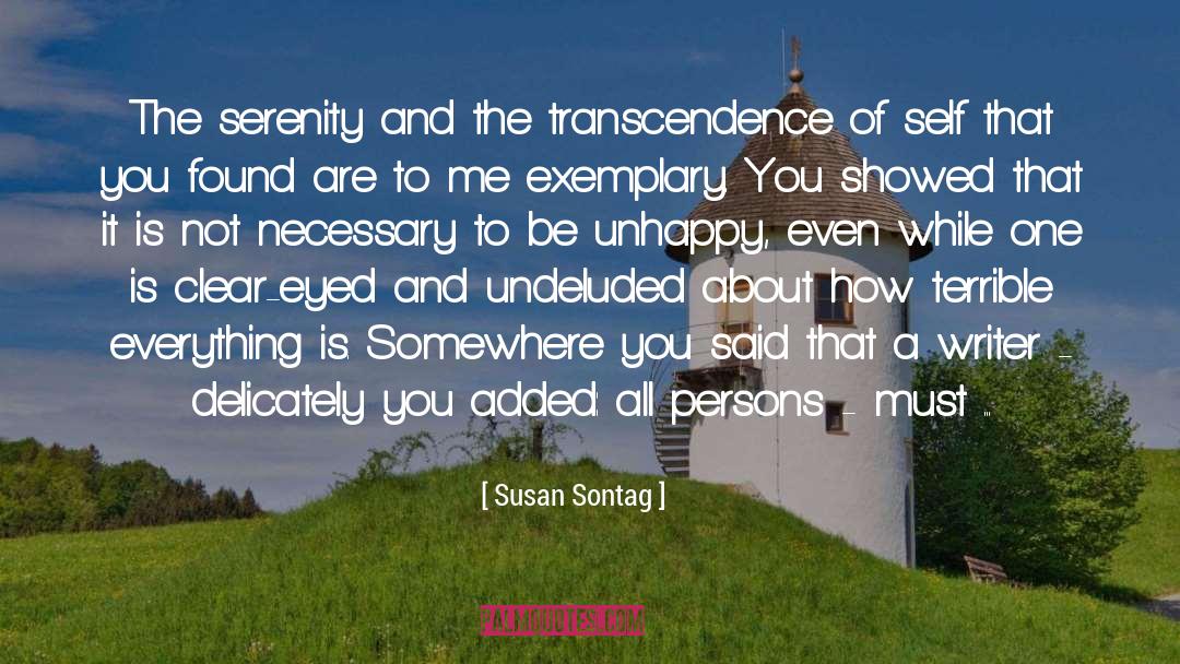 Exemplary quotes by Susan Sontag