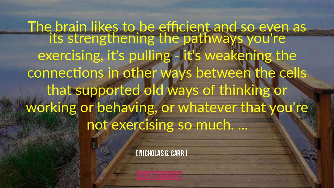 Exercise And Brain quotes by Nicholas G. Carr