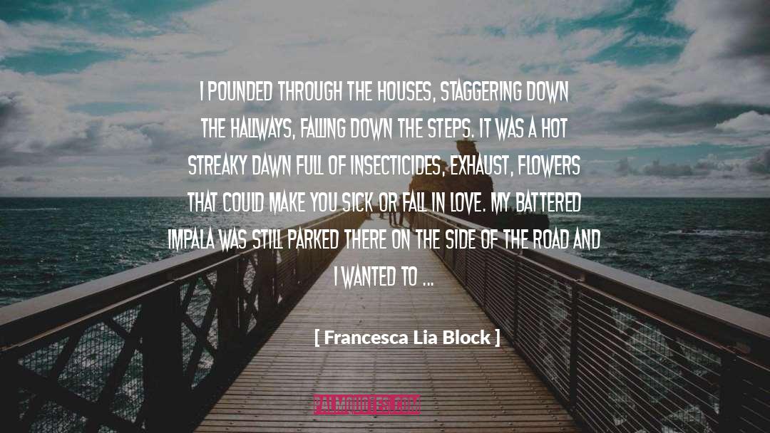 Exhaust quotes by Francesca Lia Block
