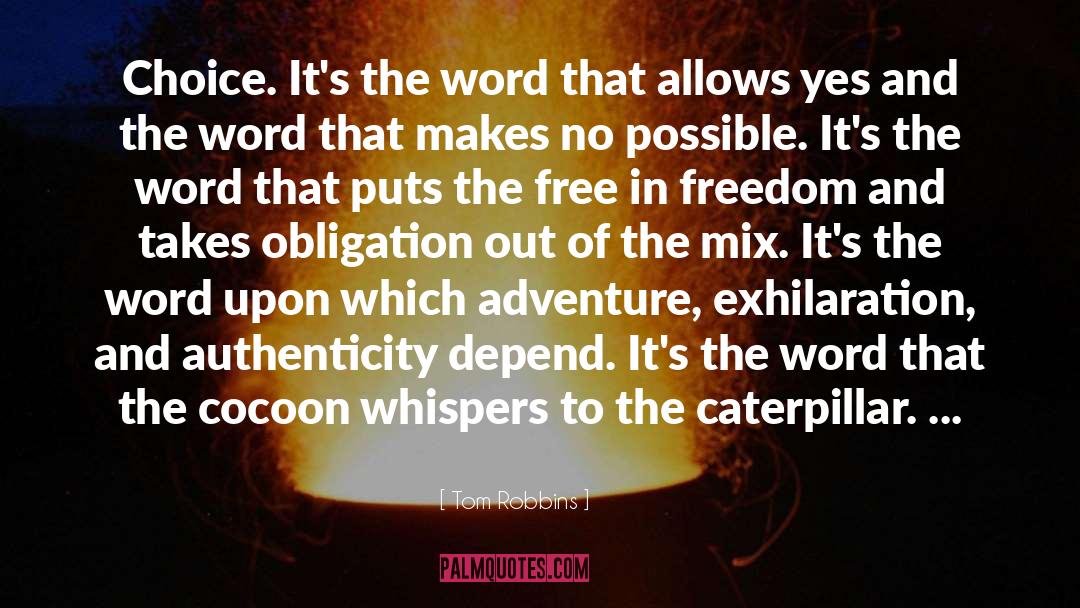 Exhilaration quotes by Tom Robbins