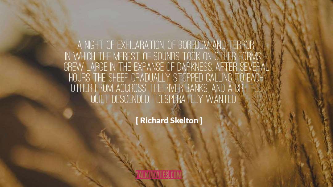 Exhilaration quotes by Richard Skelton