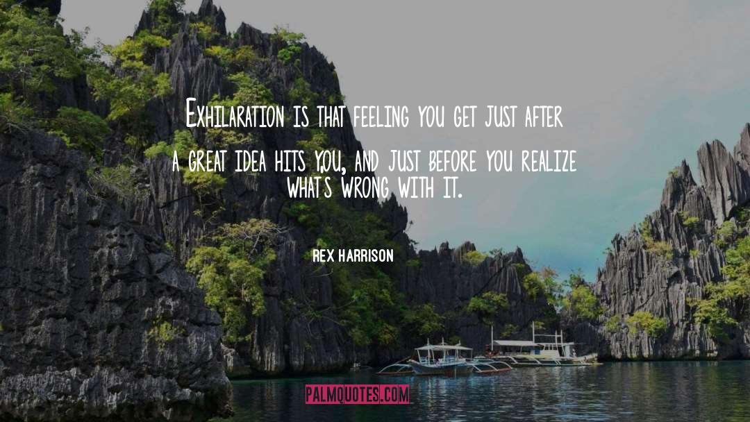 Exhilaration quotes by Rex Harrison