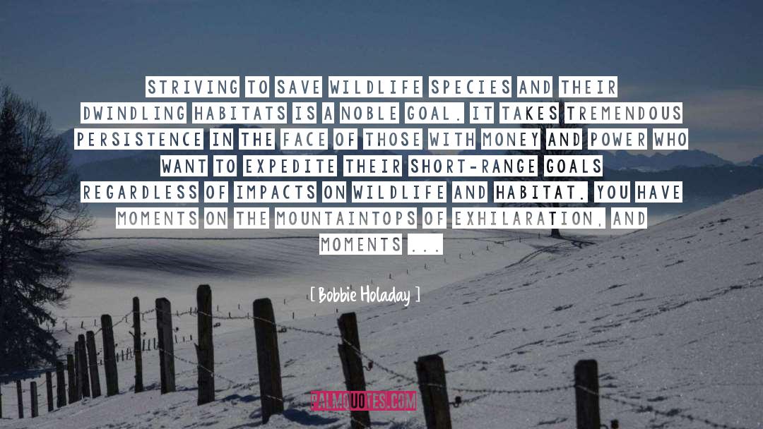 Exhilaration quotes by Bobbie Holaday