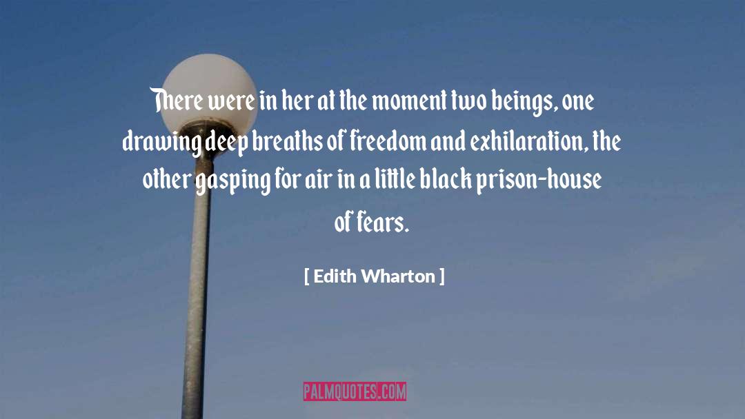 Exhilaration quotes by Edith Wharton