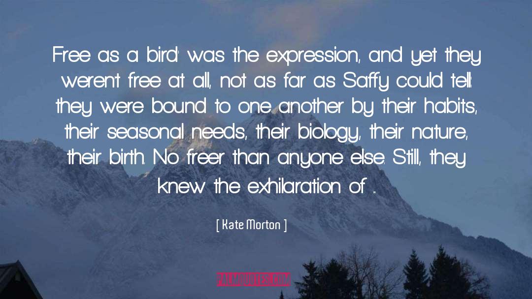 Exhilaration quotes by Kate Morton