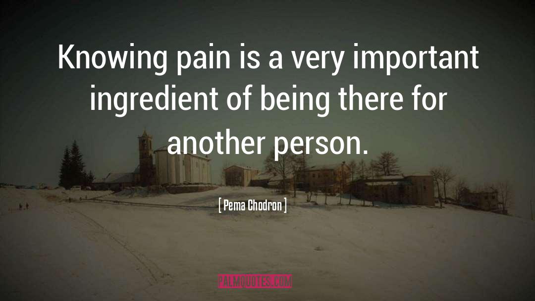 Existence Is Pain quotes by Pema Chodron