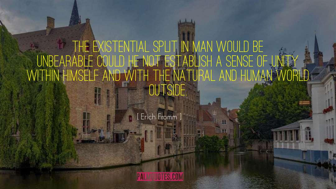 Existential Allienation quotes by Erich Fromm