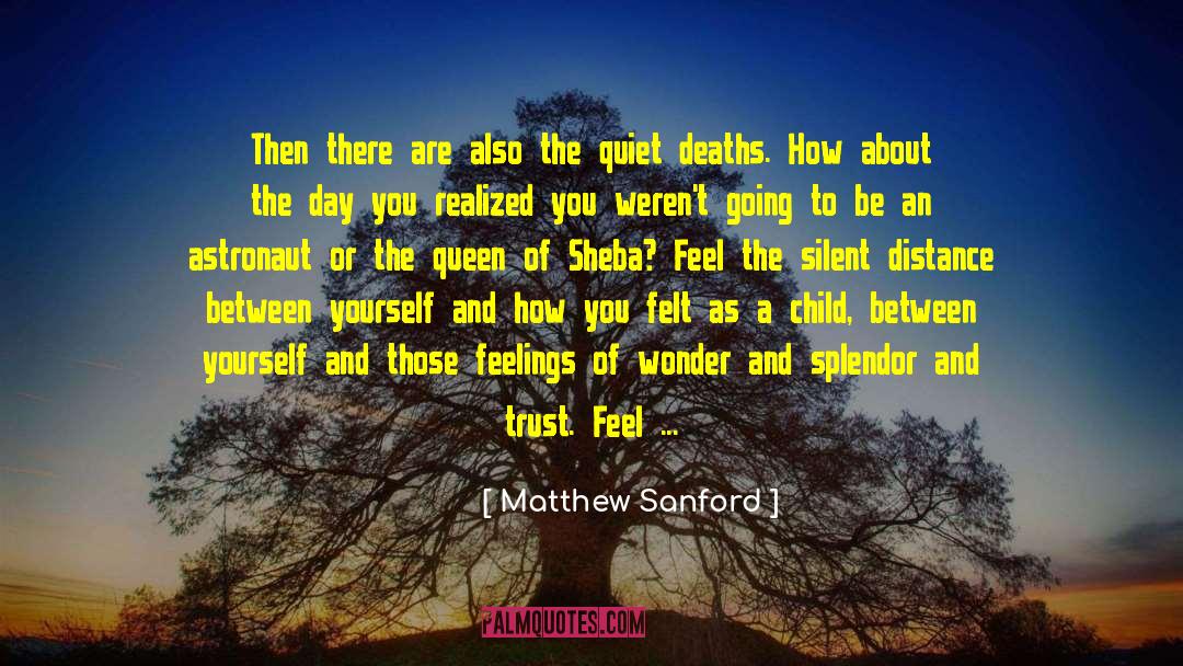 Existential Allienation quotes by Matthew Sanford