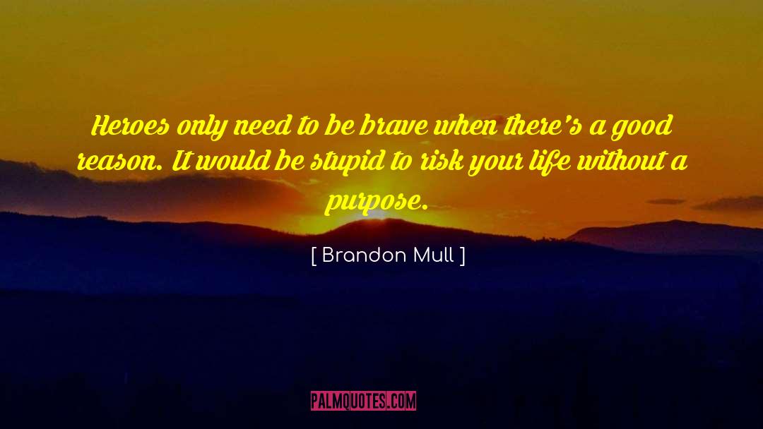 Existential Risk quotes by Brandon Mull