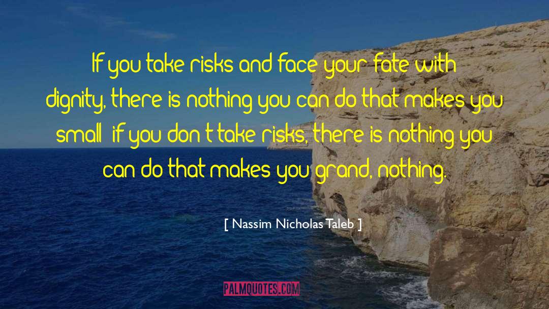 Existential Risks quotes by Nassim Nicholas Taleb