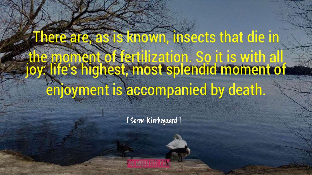 Existentialism Life quotes by Soren Kierkegaard