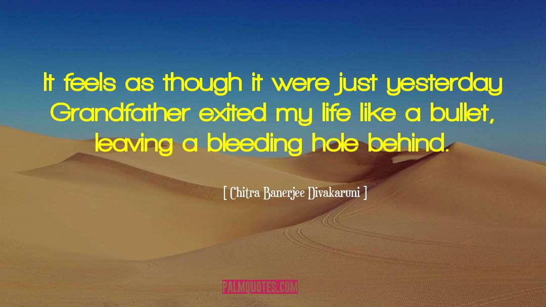Exited quotes by Chitra Banerjee Divakaruni