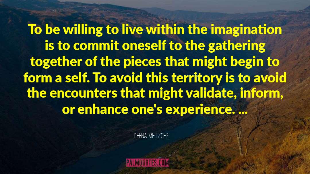 Expanding Territory quotes by Deena Metzger