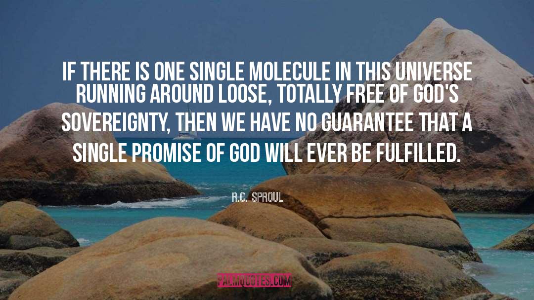 Expanding Universe quotes by R.C. Sproul