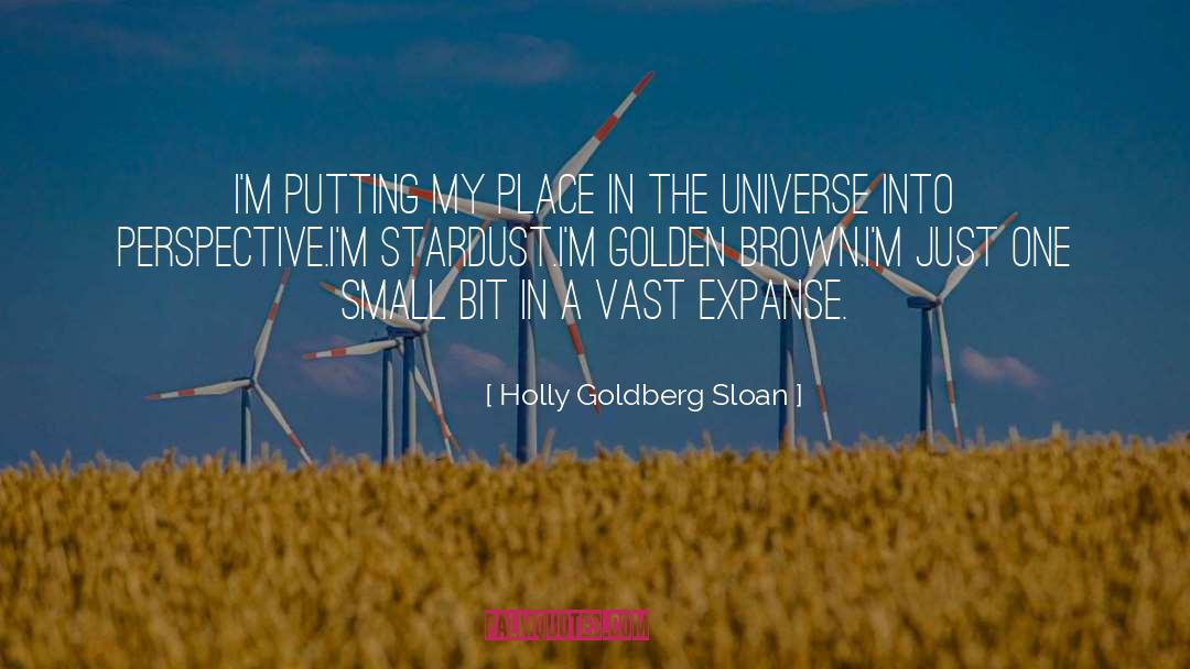 Expanse quotes by Holly Goldberg Sloan