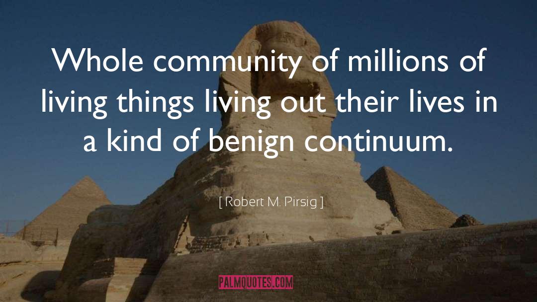 Expat Living quotes by Robert M. Pirsig