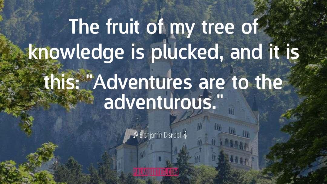 Expats Adventure quotes by Benjamin Disraeli