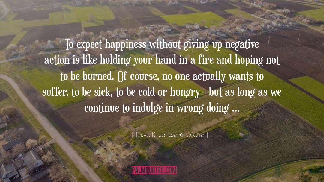 Expect Happiness quotes by Dilgo Khyentse Rinpoche