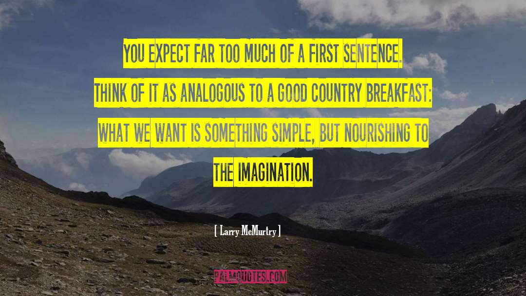 Expect More quotes by Larry McMurtry