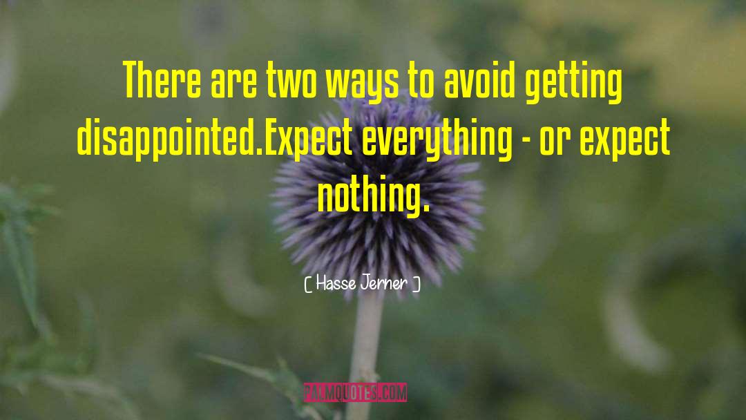 Expect Nothing quotes by Hasse Jerner