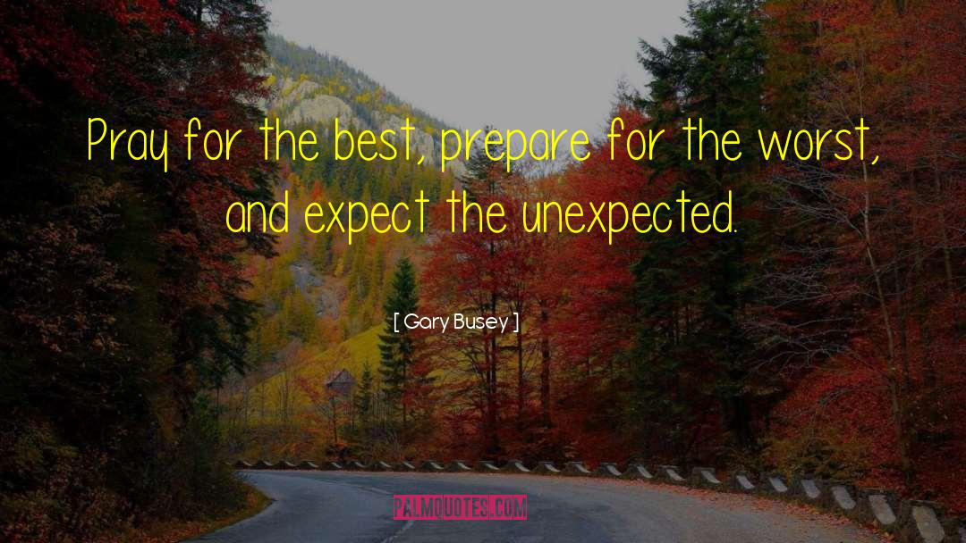 Expect The Unexpected quotes by Gary Busey